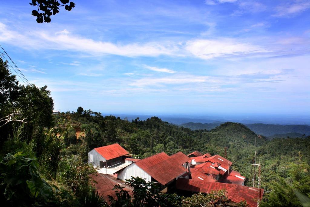 Finca Hamburgo La Ruta Del Cafe Tuzantan Buitenkant foto